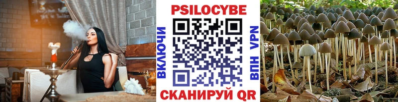 Купить где  Островной  Псилоцибиновые грибы мухоморы 
